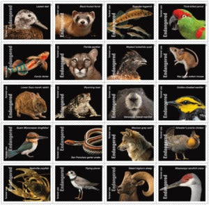 Endangered Species 2023 USPS Stamps ��� All Brand New Forever Stamps i