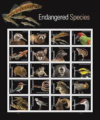 Endangered Species 2023 USPS Stamps ��� All Brand New Forever Stamps i