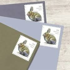 Brush Rabbit 2021 USPS Stamps ��� All Brand New Forever Stamps i