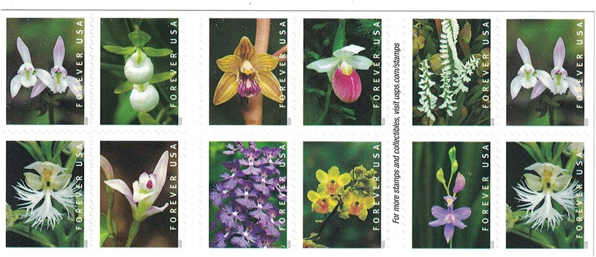 Wild Orchids 2019 USPS Stamps