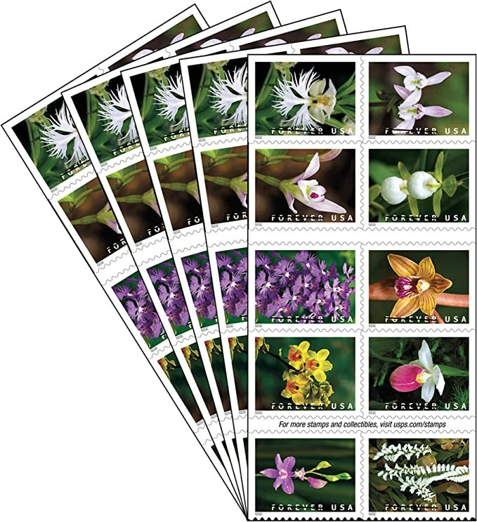 Wild Orchids 2019 USPS Stamps