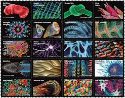 Life Magnified 2023 USPS Stamps ��� All Brand New Forever Stamps i