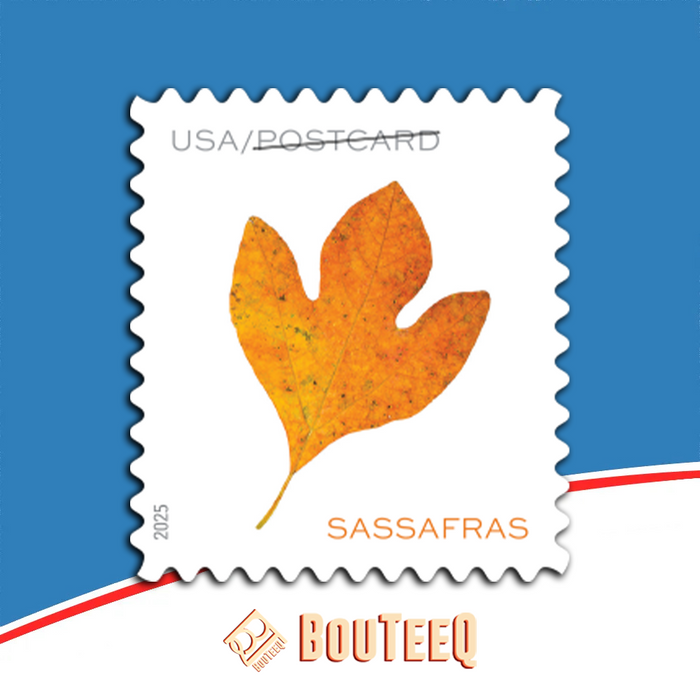 Vibrant Leaves 2025 USPS Stamps ��� All Brand New Forever Stamps i