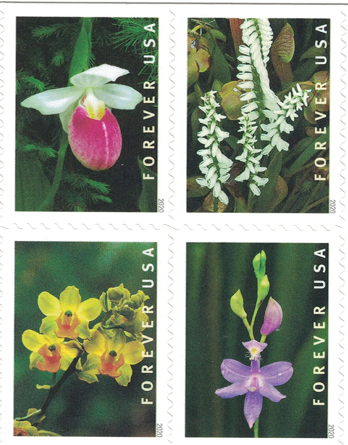 Wild Orchids 2019 USPS Stamps