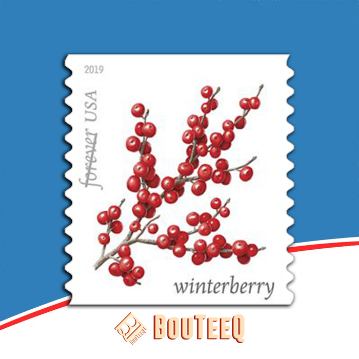 Winter Berries 2019 image 0