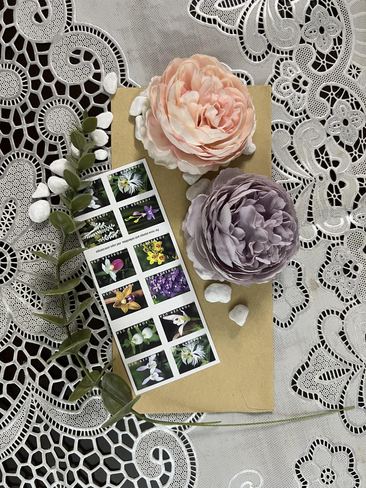 Wild Orchids 2019 USPS Stamps
