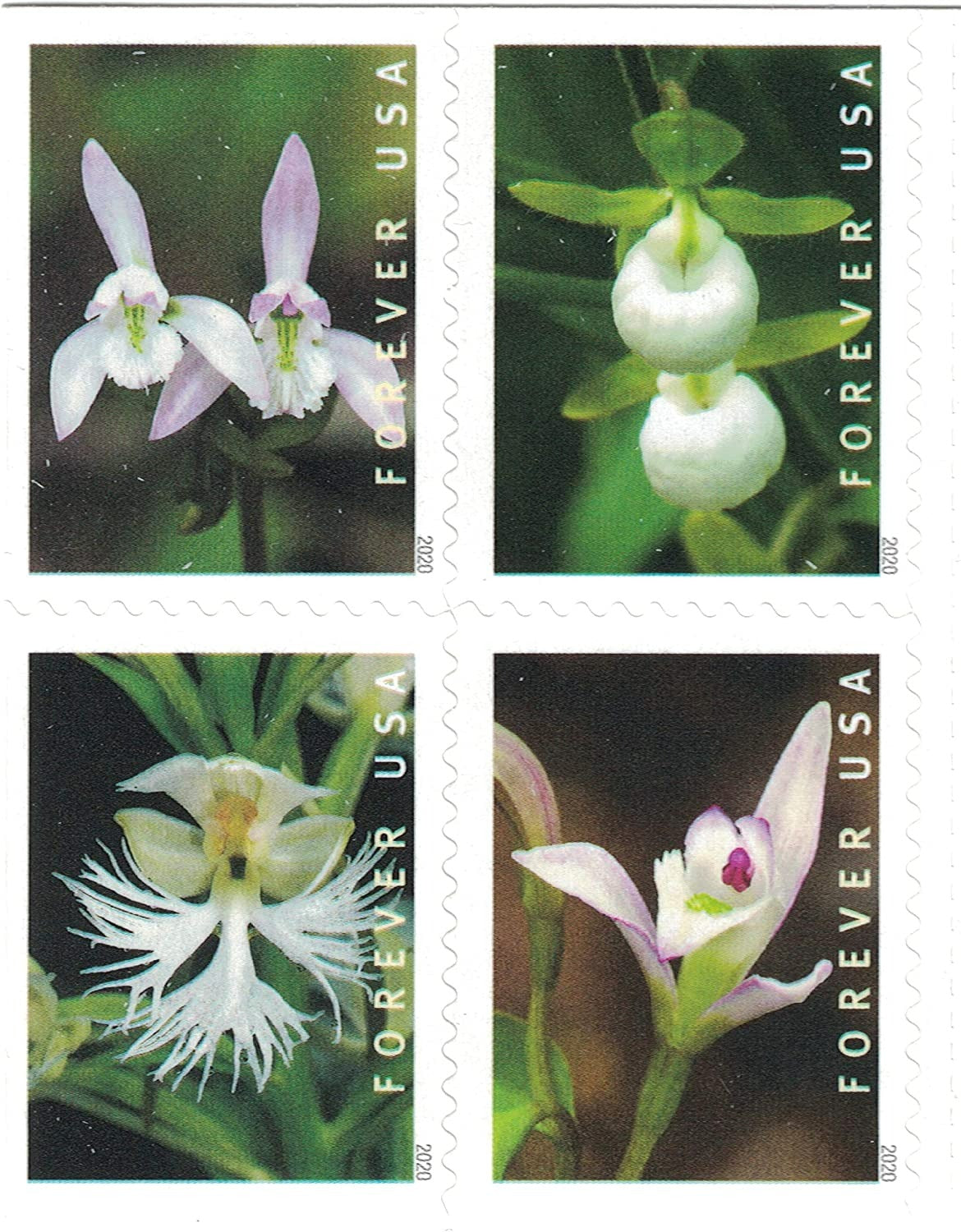 Wild Orchids 2019 USPS Stamps