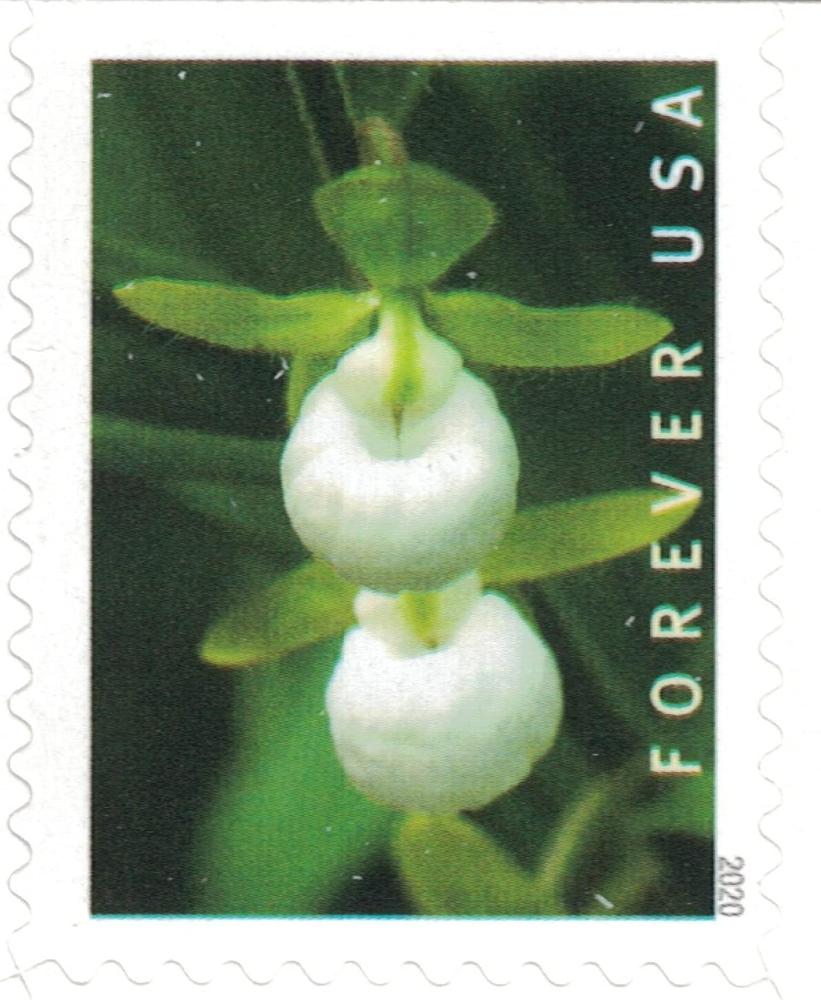 Wild Orchids 2019 USPS Stamps