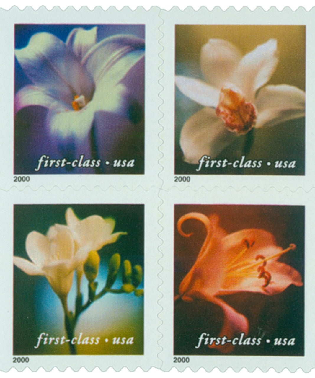 Four Flowers 2000 USPS Stamps��� All Brand New Forever Stamps i