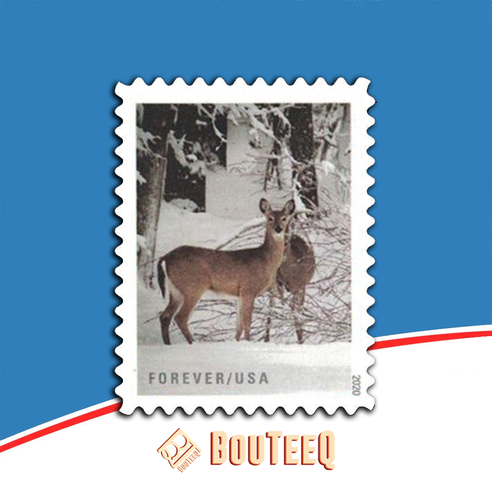 Winter Scenes 2020 USPS Stamps