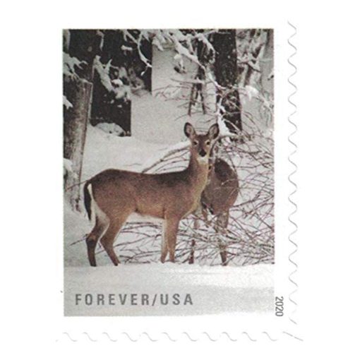 Winter Scenes 2020 USPS Stamps