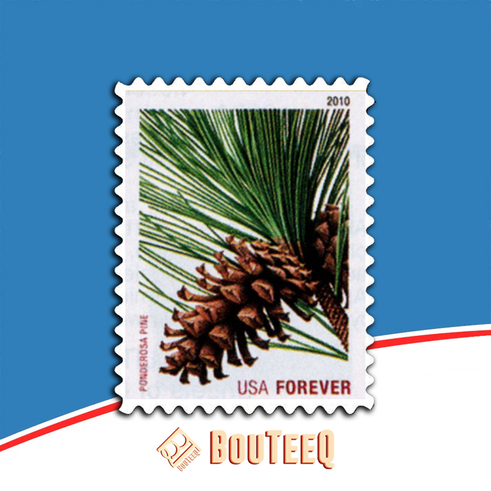 Holiday Evergreens 2010 USPS Stamps