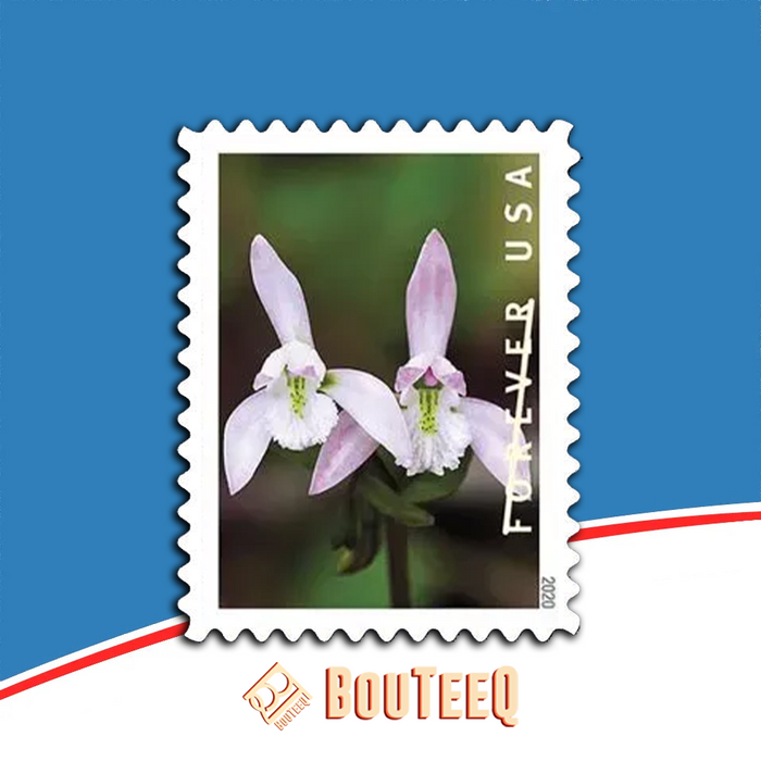 Wild Orchids 2020 USPS Stamps ��� All Brand New Forever Stamps i