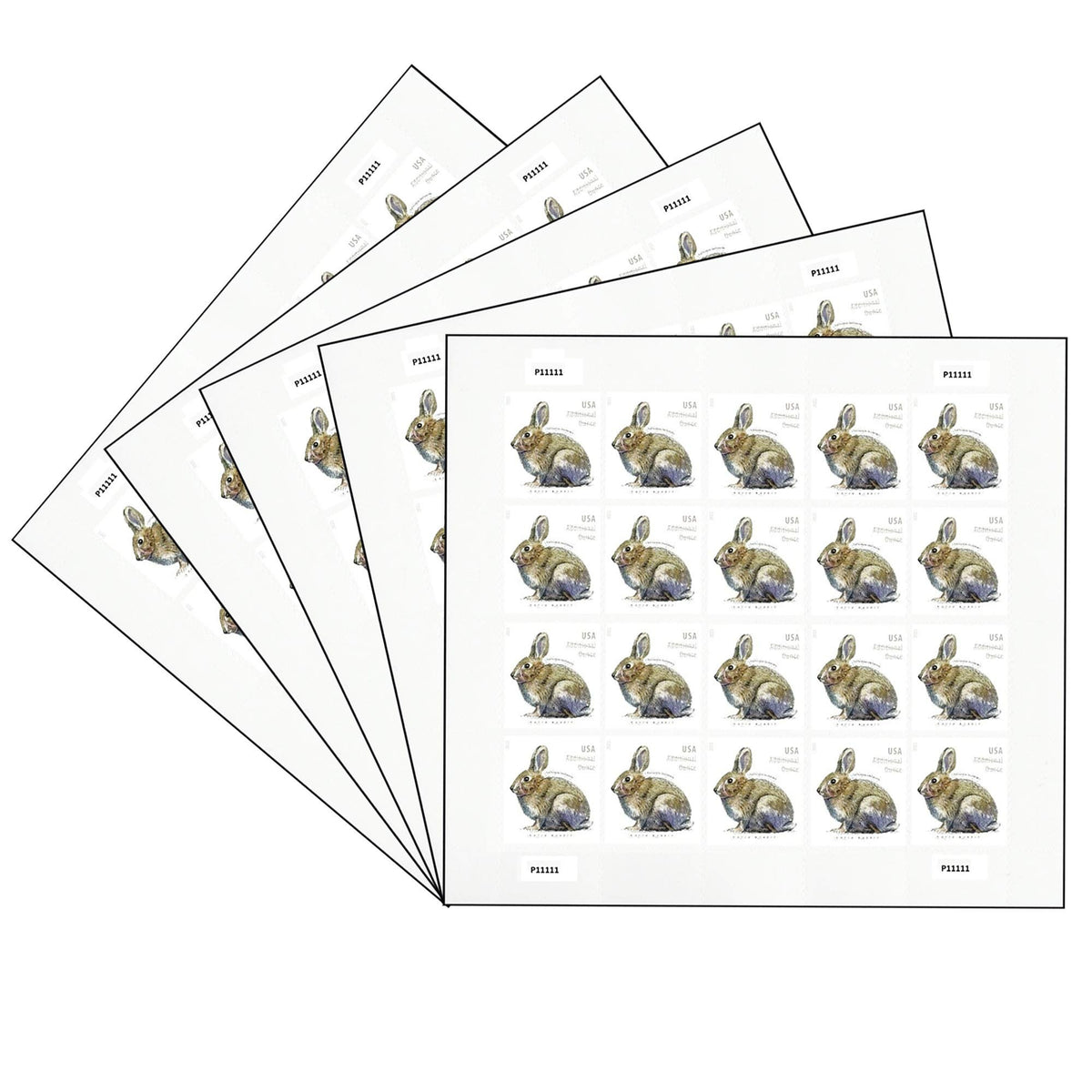 Brush Rabbit 2021 USPS Stamps ��� All Brand New Forever Stamps i