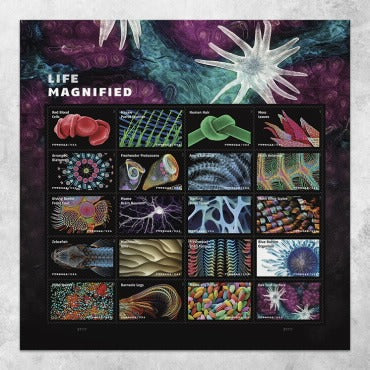 Life Magnified 2023 USPS Stamps ��� All Brand New Forever Stamps i
