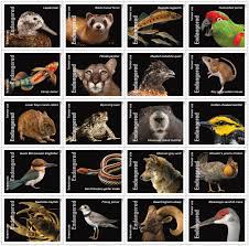 Endangered Species 2023 USPS Stamps ��� All Brand New Forever Stamps i