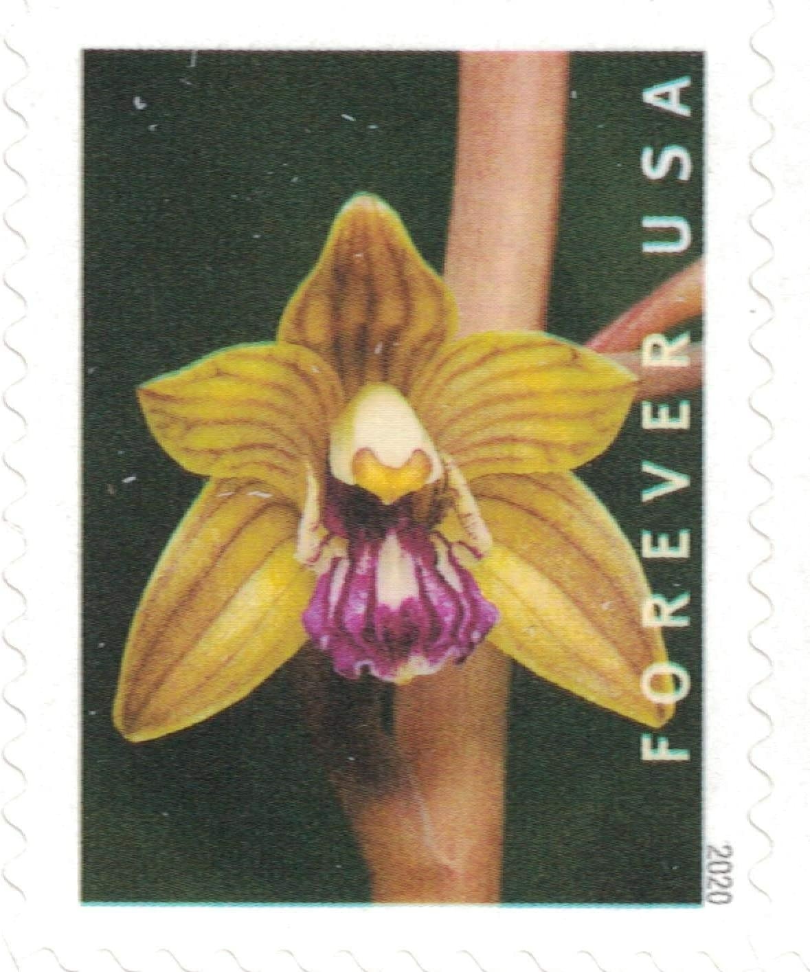 Wild Orchids 2019 USPS Stamps