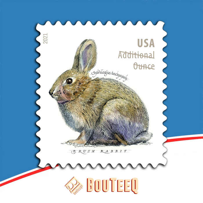 Brush Rabbit 2021 USPS Stamps ��� All Brand New Forever Stamps i