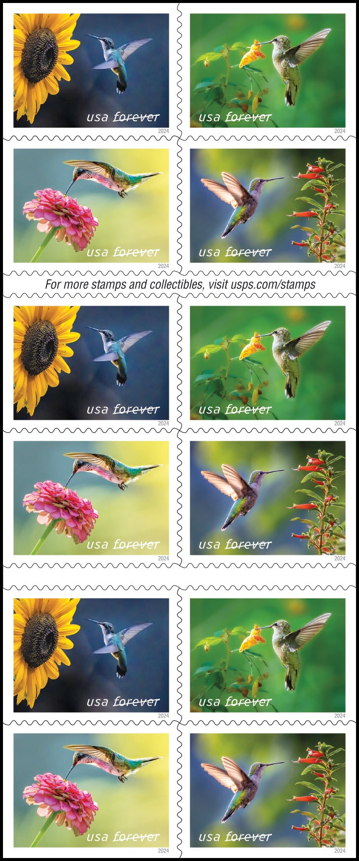 Garden Delights 2024 USPS Stamps