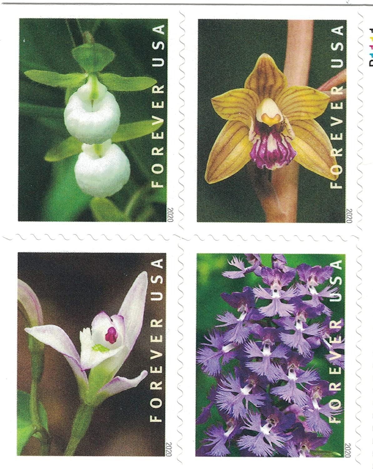 Wild Orchids 2019 USPS Stamps