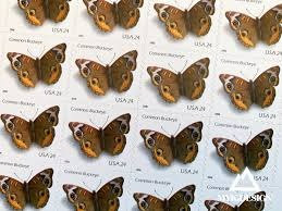 Common Buckeye Butterfly 2006 USPS Stamps ��� All Brand New Forever Stamps i