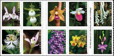 Wild Orchids 2019 USPS Stamps