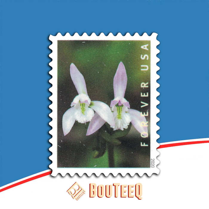 Wild Orchids 2019 USPS Stamps