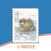 Otters in Snow 2021 – All Brand New Forever Stamps