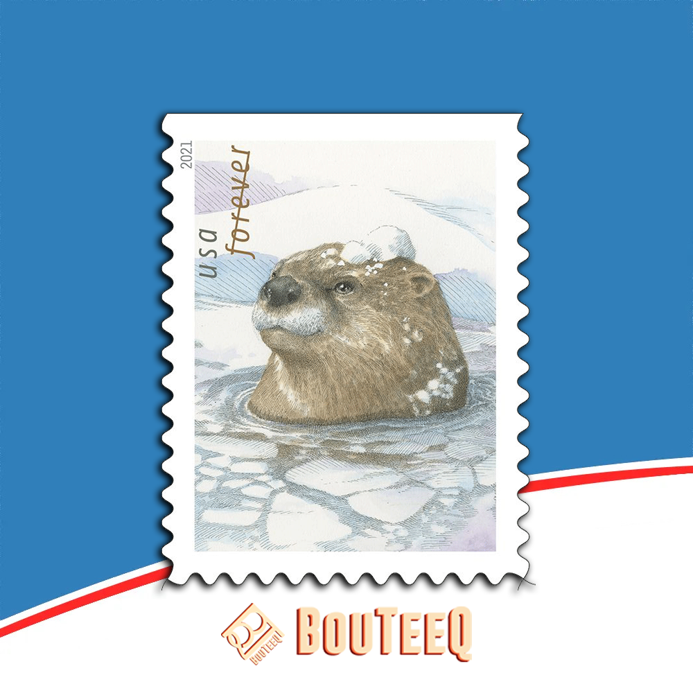 Otters in Snow 2021 – All Brand New Forever Stamps